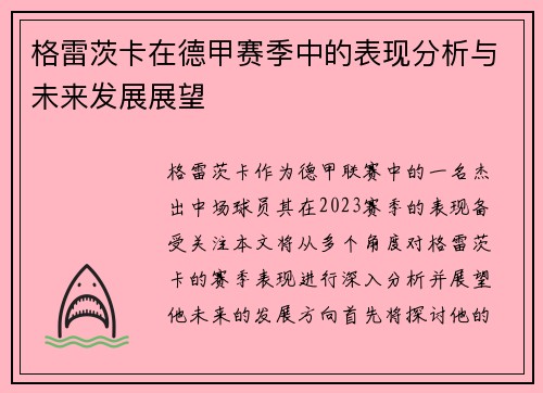 格雷茨卡在德甲赛季中的表现分析与未来发展展望