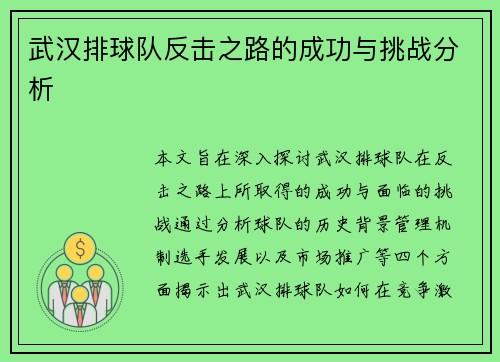 武汉排球队反击之路的成功与挑战分析