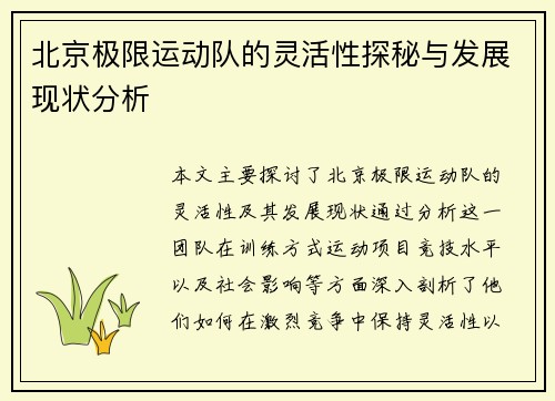 北京极限运动队的灵活性探秘与发展现状分析