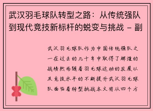 武汉羽毛球队转型之路：从传统强队到现代竞技新标杆的蜕变与挑战 - 副本